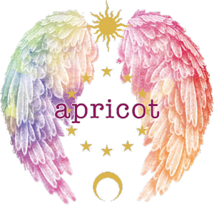 奈良県でスピリチュアルやヒーリングならapricot healing